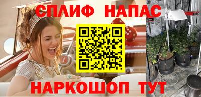 гидропоника Краснознаменск