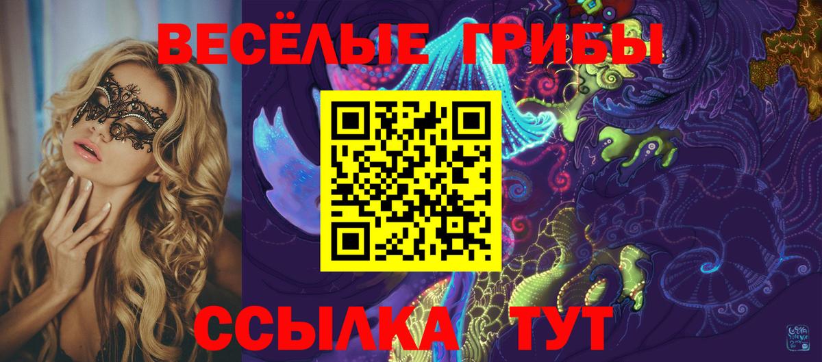 Псилоцибиновые грибы GOLDEN TEACHER Донской